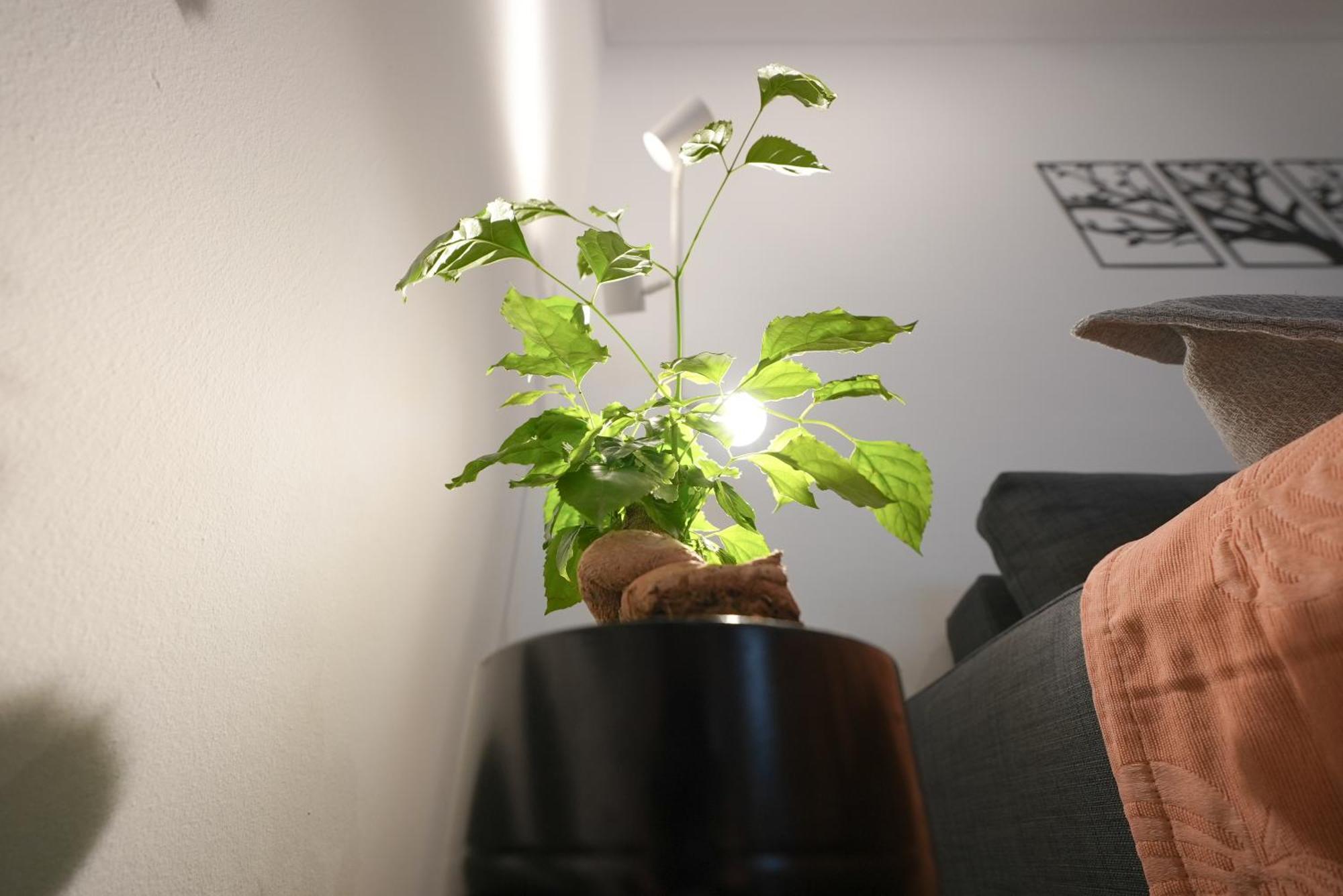 Syntagma Square, 50Sqm Nikis Luxurious Apartment Athens Luaran gambar